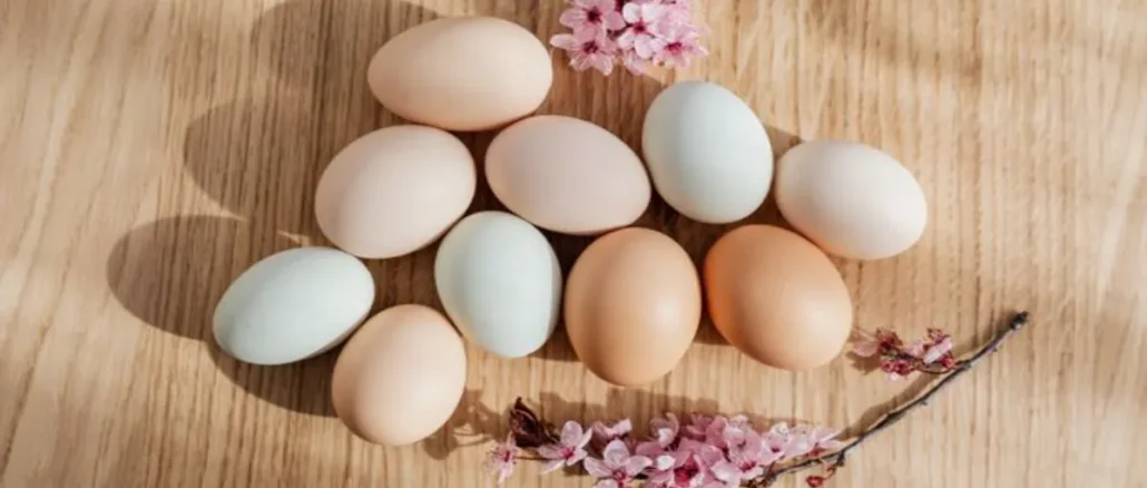 Texas Egg Farm's Salmonella Outbreak Reached 17 States and 98 People