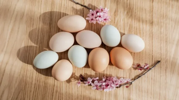 Texas Egg Farm's Salmonella Outbreak Reached 17 States and 98 People