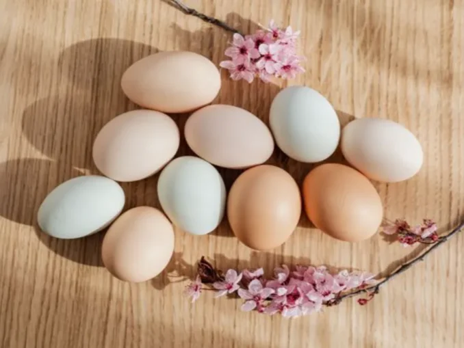 Texas Egg Farm's Salmonella Outbreak Reached 17 States and 98 People