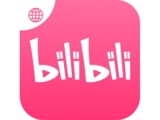 Bilibili vs YouTube, Bilibili creator