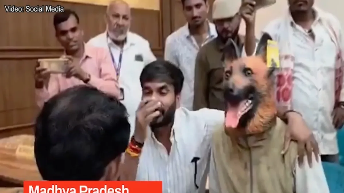 Watch: Man in Dog Costume Joins Protest Over Stray Dogs in Khandwa