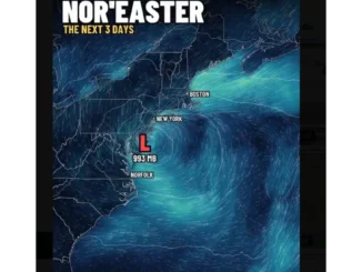 Watch New Jersey Surf City flooding video roads homes nor’easter