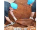 Clip from a Chinese documentary on police recovering remains in Kokang, northern Myanmar