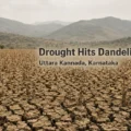 Farmers in drought-affected areas of Uttara Kannada district