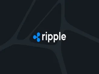 Ripple Backs Kamala Harris as XRP Faces a 50% Decline Against Bitcoin