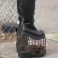 Rat-Cage Heels: The Viral Craze Taking the Internet by Storm with 107 Million Views